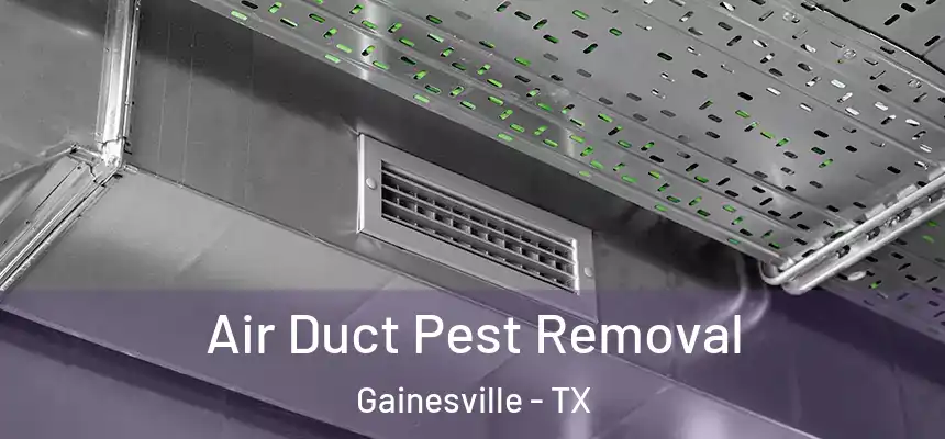  Air Duct Pest Removal Gainesville - TX