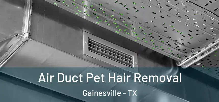  Air Duct Pet Hair Removal Gainesville - TX