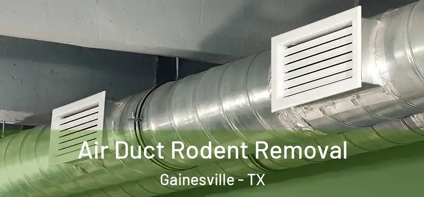  Air Duct Rodent Removal Gainesville - TX