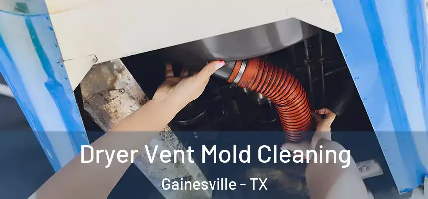  Dryer Vent Mold Cleaning Gainesville - TX