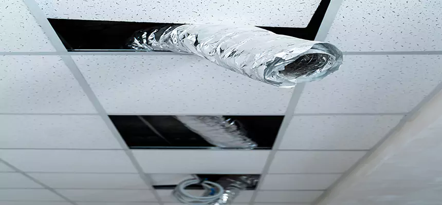 Our Air Duct Pet Hair Removal Services in Gainesville, TX