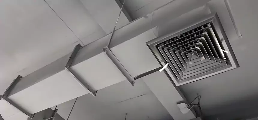 Our Pest Removal From Ducts Services in Gainesville, TX