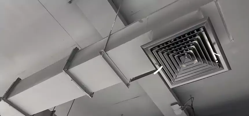 Our Rodent Droppings In Vents Services in Gainesville, TX