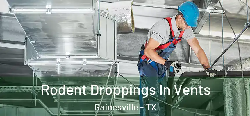 Rodent Droppings In Vents Gainesville - TX