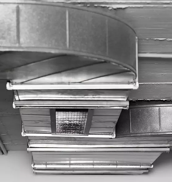 Professional Air Duct Pest Removal in Gainesville, TX