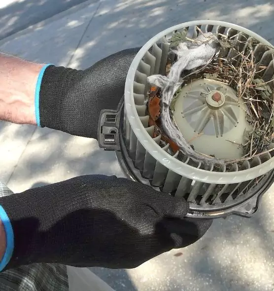 About Air Duct Rat Removal in Gainesville, TX