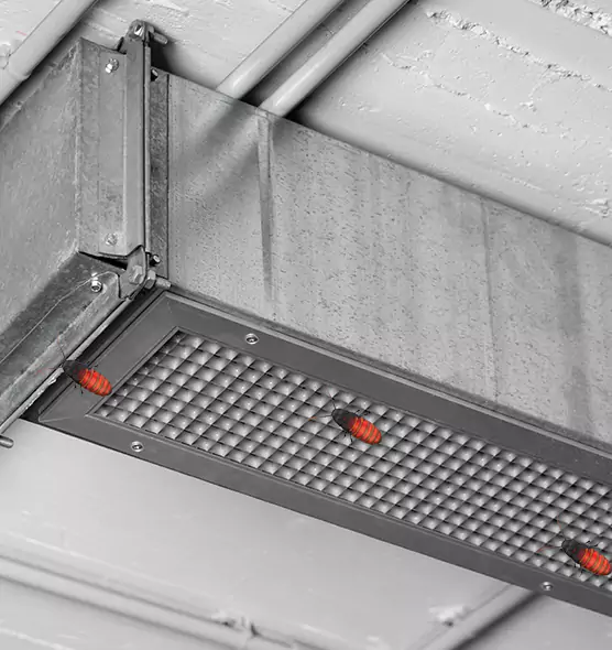 Affordable Insect Removal from Air Ducts in Gainesville, TX