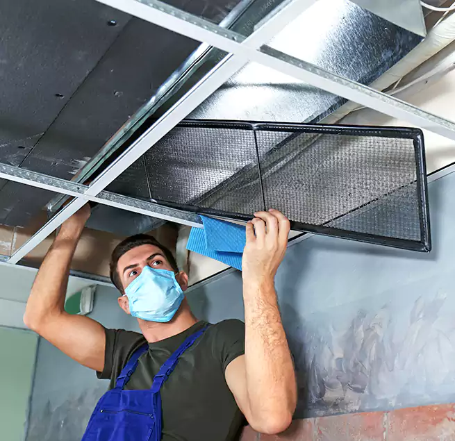 Why Homeowners Businesses Trust Us in Gainesville, TX