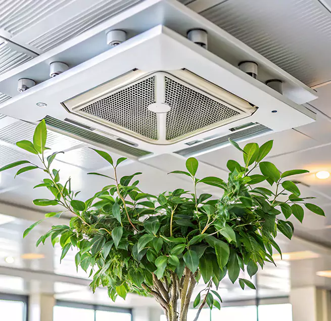 Why Homeowners & Businesses Trust Us in Gainesville, TX