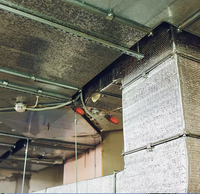 Why Homeowners & Businesses Trust Us Gainesville, TX?