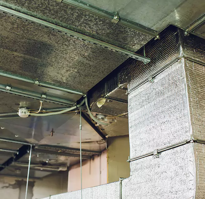 Why Homeowners & Businesses Trust Us in Gainesville, TX?